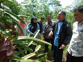 Kampung KB Ngasem Kidul Study Banding Buah Naga dan Tengok Rumah Data