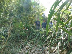 Kampung KB Ngasem Kidul Study Banding Buah Naga da